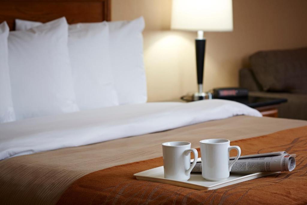 Quality Inn North Bay Δωμάτιο φωτογραφία